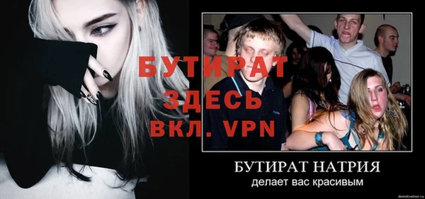 шишки Няндома