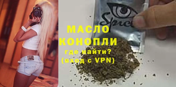 шишки Няндома