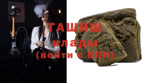 шишки Няндома