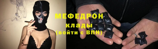 шишки Няндома