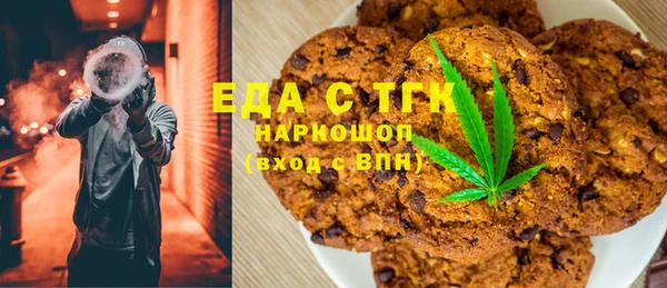 шишки Няндома
