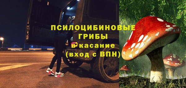 шишки Няндома