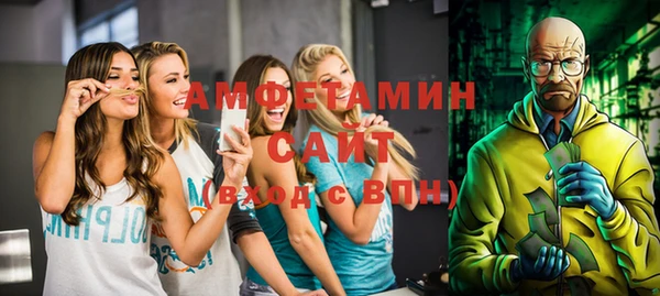 шишки Няндома