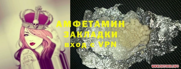 шишки Няндома