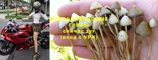 винт Нягань