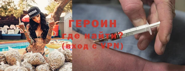 шишки Няндома