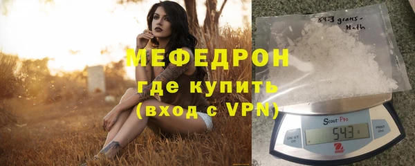 шишки Няндома
