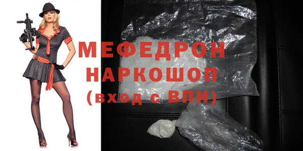 шишки Няндома