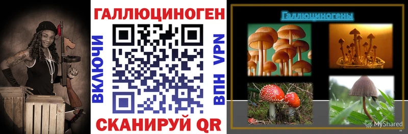 Галлюциногенные грибы прущие грибы  Купить  Тверь 