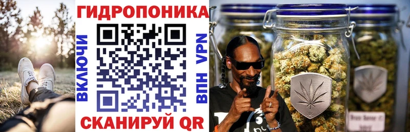 Купить  Тверь  Бошки марихуана OG Kush